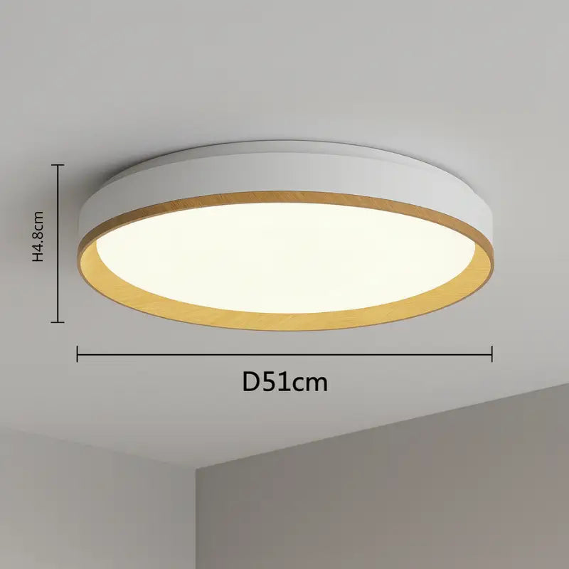 Rond Plafonnier Led - plafonnier
